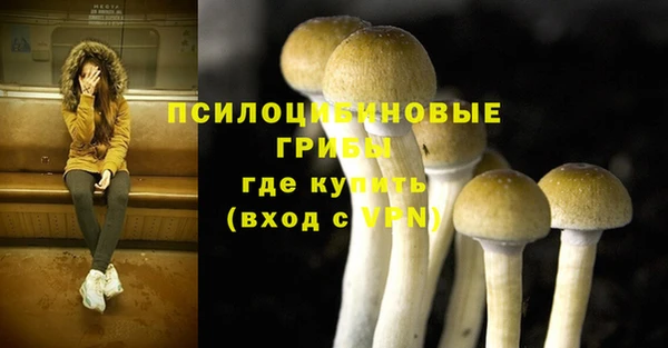 прущая мука Магадан