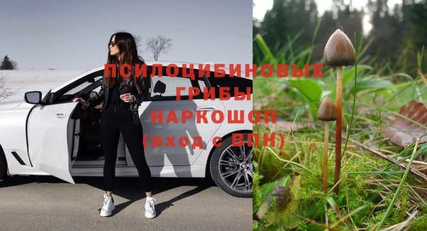 прущая мука Магадан