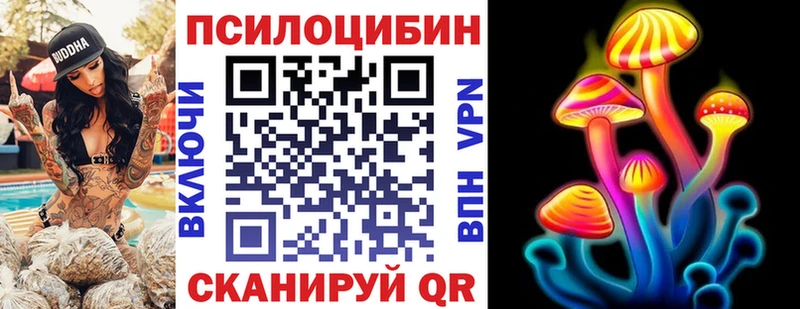 купить   Невельск  Галлюциногенные грибы ЛСД 